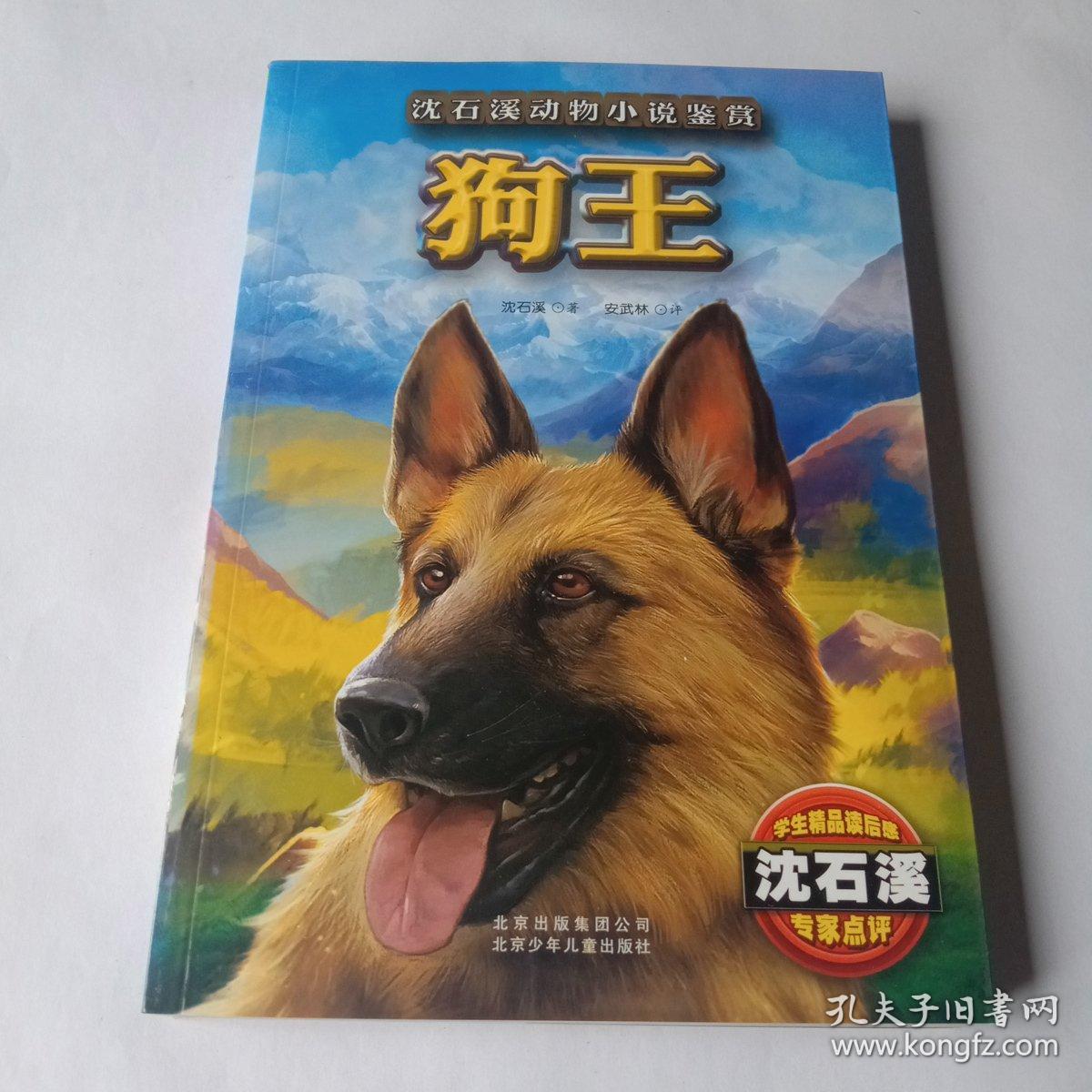 狗王