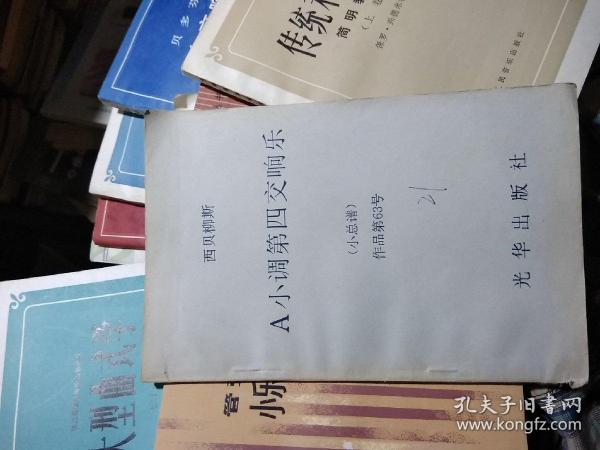 儿童交响曲谱_贝多芬命运交响曲谱(3)