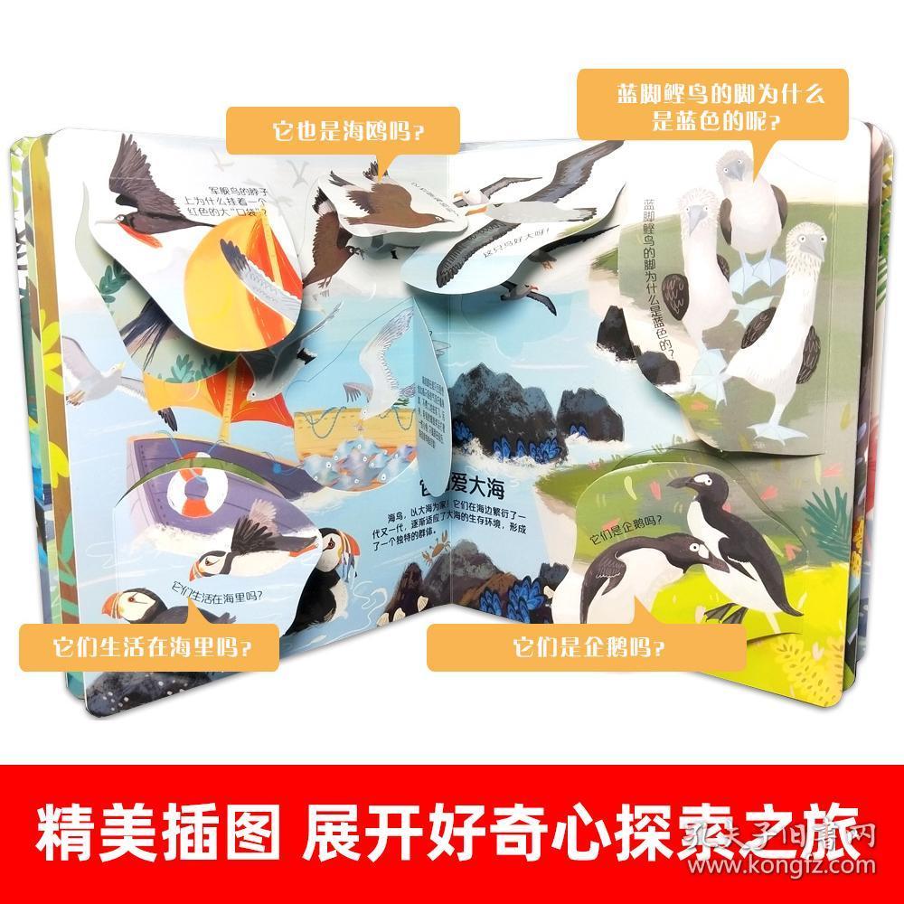 揭秘鸟类 立体翻翻书 你问我答低幼版 儿童3d立体书 鸟类书籍大百科3