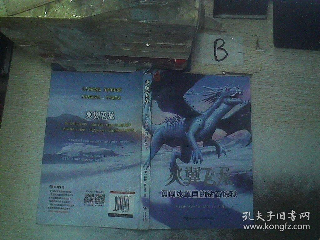 火翼飞龙:勇闯冰翼国的钻石炼狱