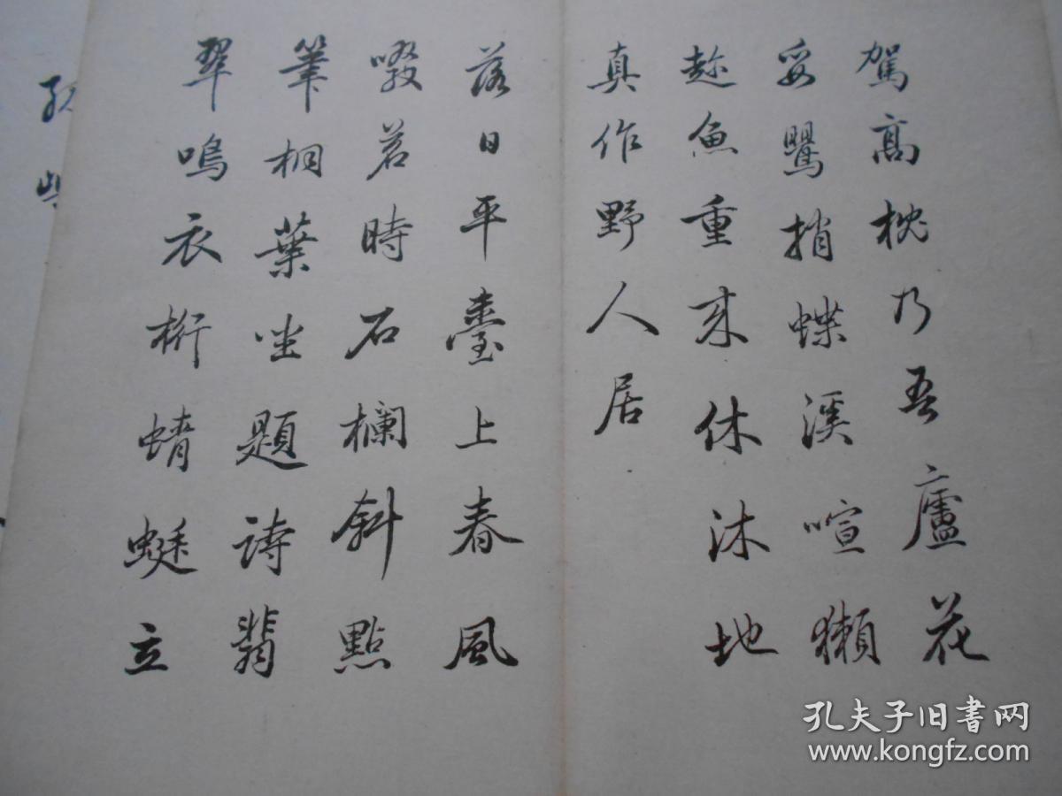 0187da4952447b1dc6_b.jpg