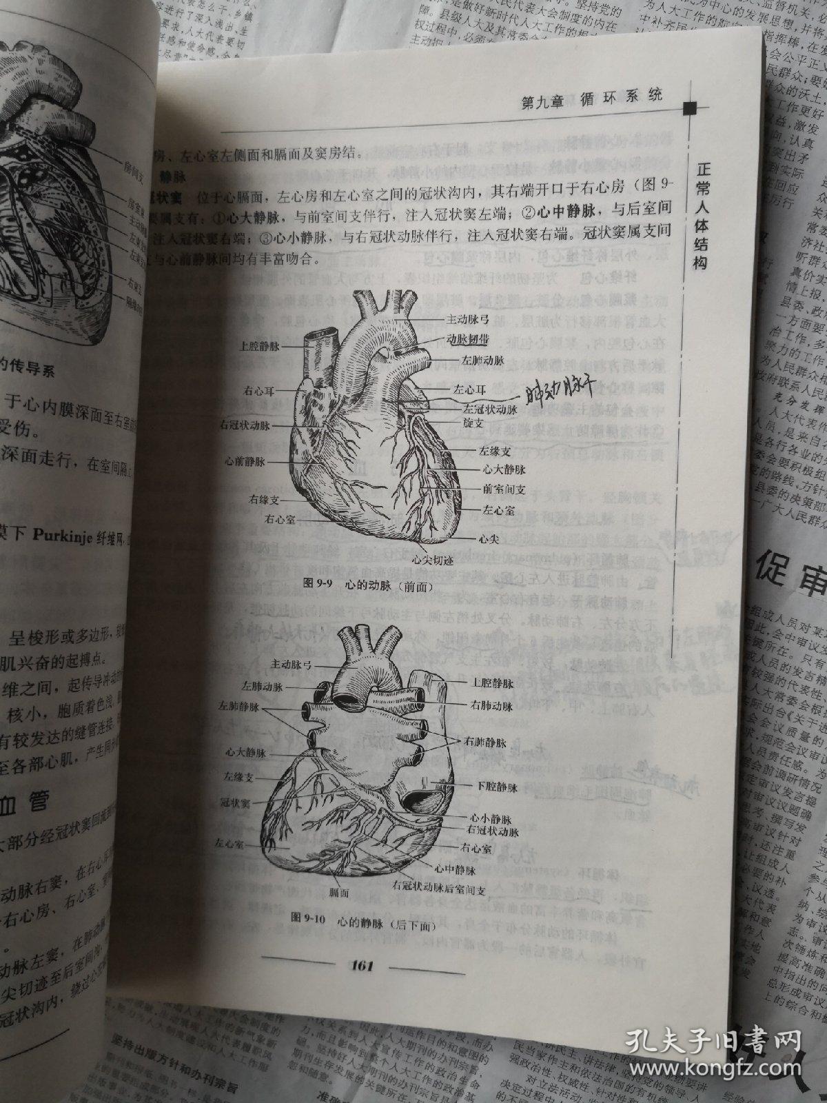 全国高等学校教材:正常人体结构