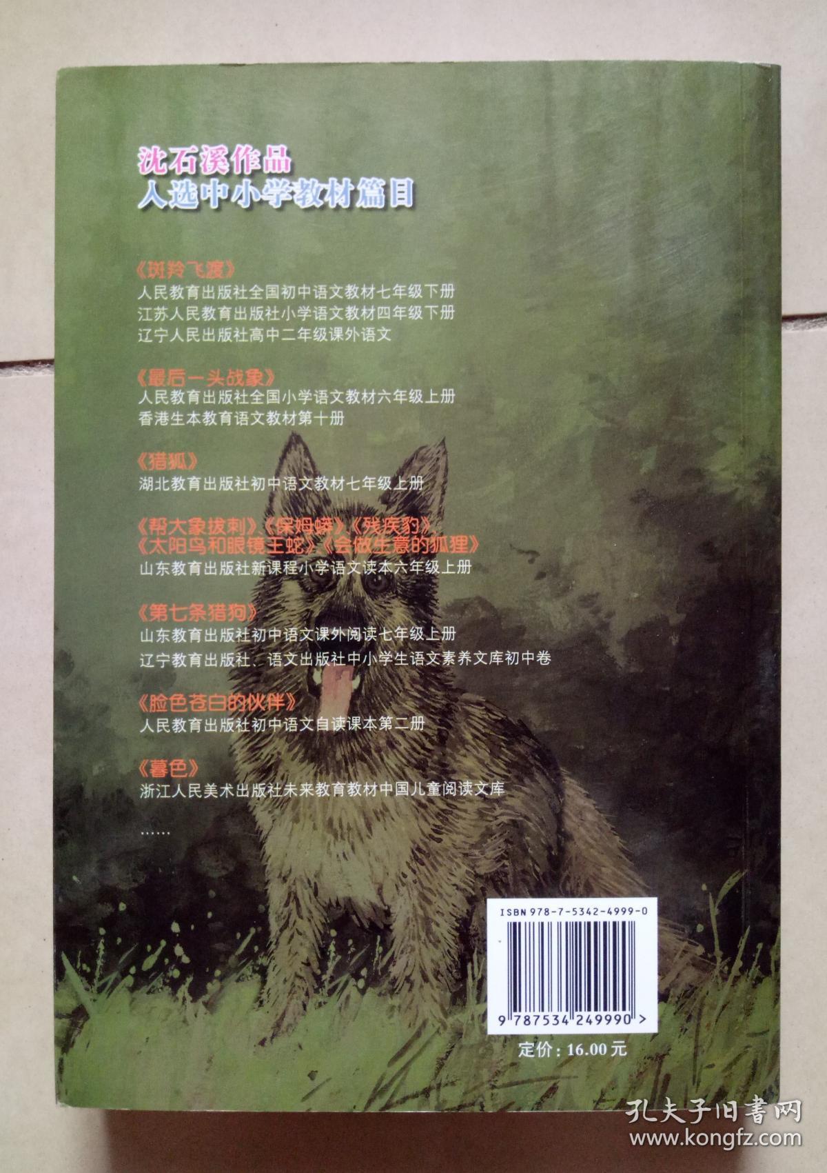 第七条猎狗