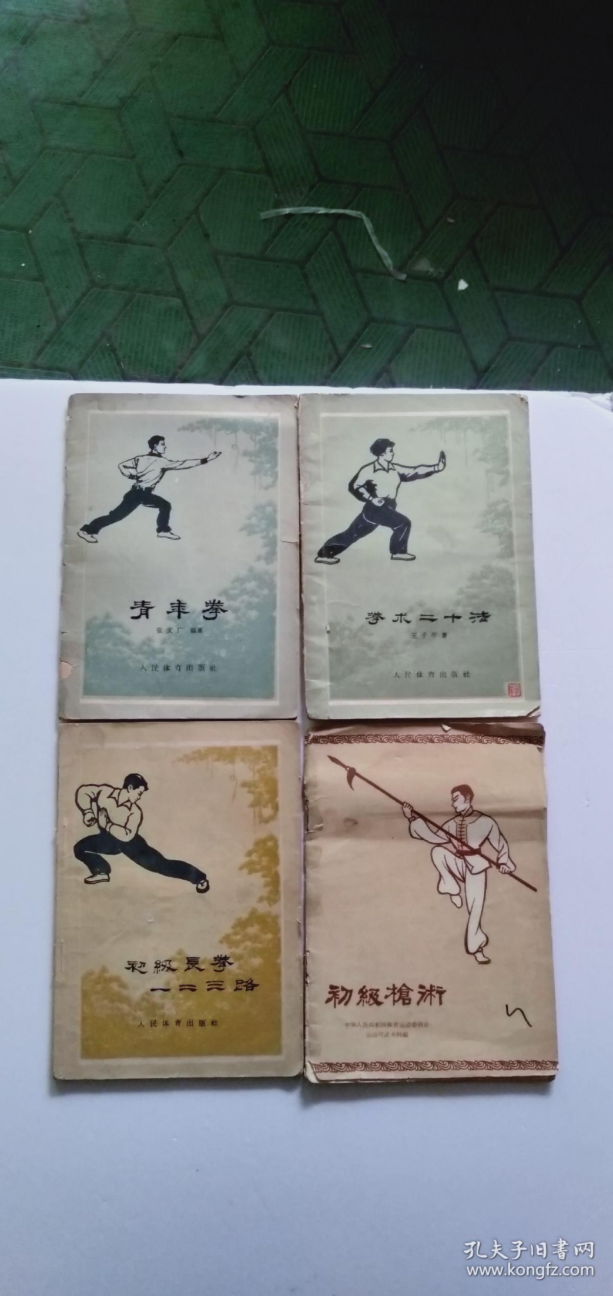 武术教学参考【包括初级长拳第一二三路 青年拳 级枪术 拳术二十法四