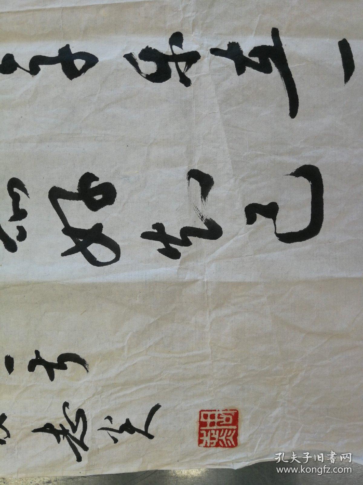 周志炎院士
