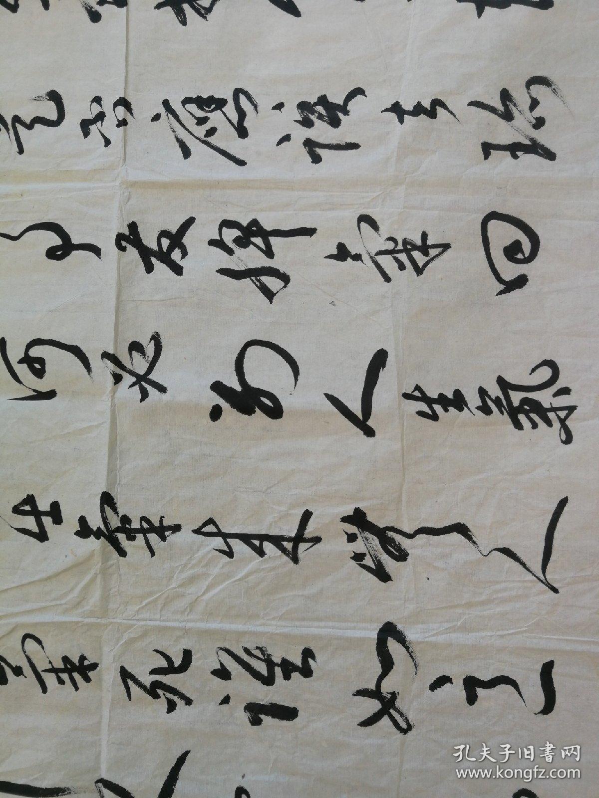 周志炎院士