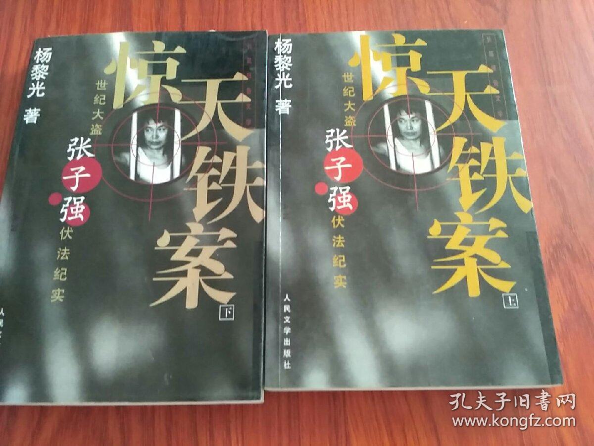 惊天铁案—世纪大盗张子强伏法纪实