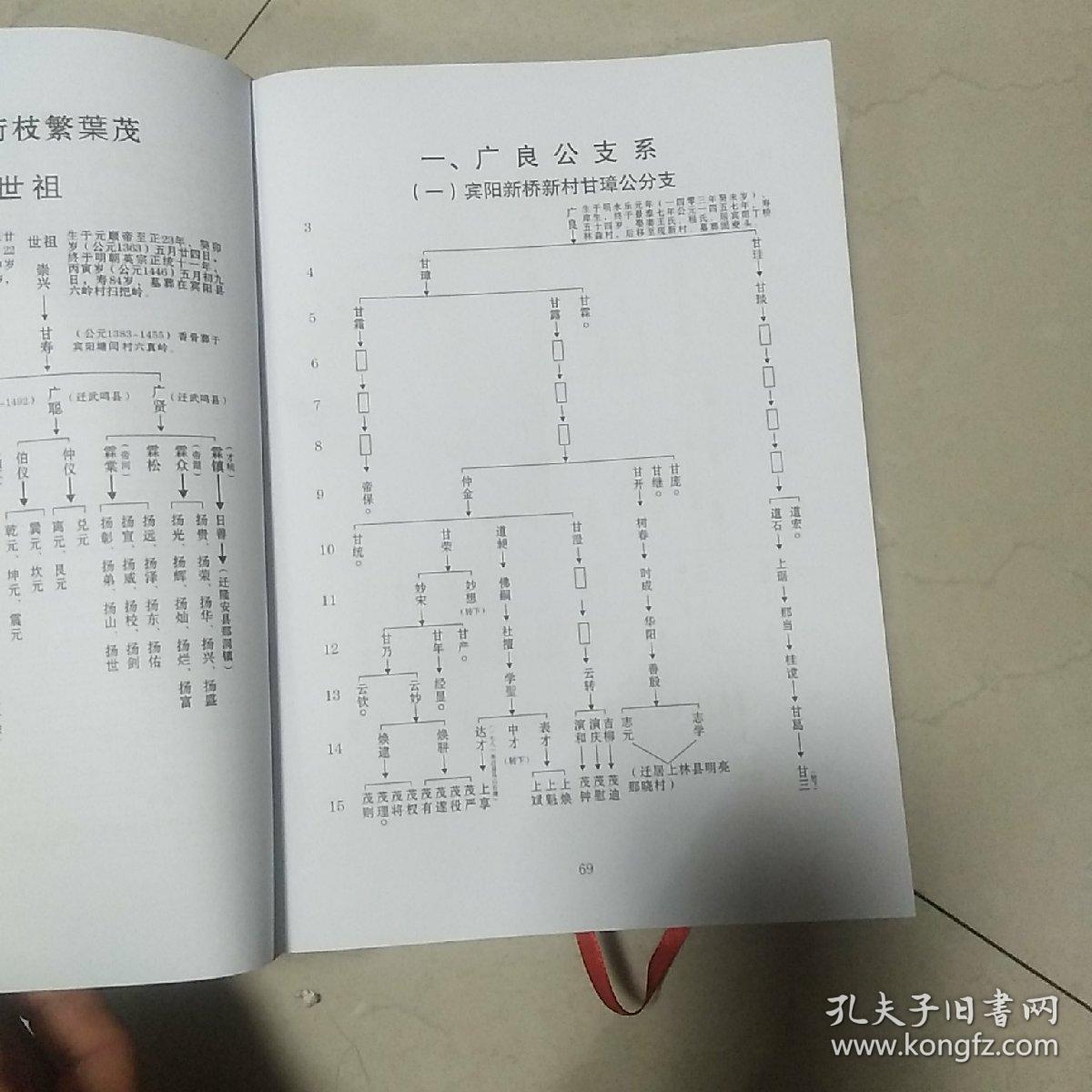 甘氏族谱(甘氏崇兴公世族志)