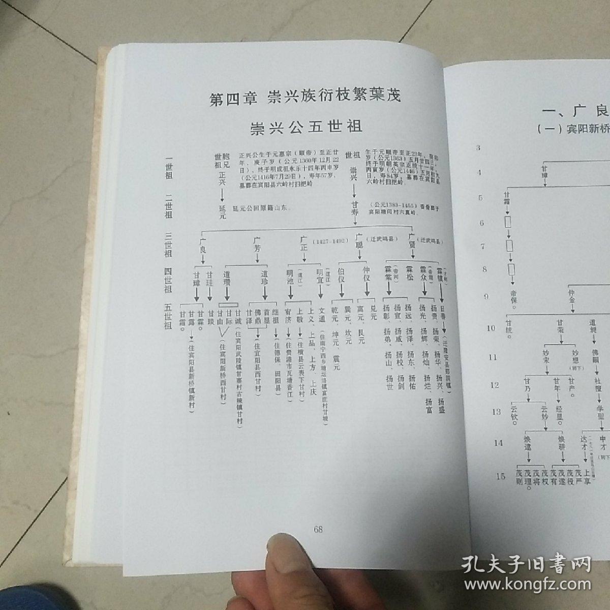 甘氏族谱(甘氏崇兴公世族志)
