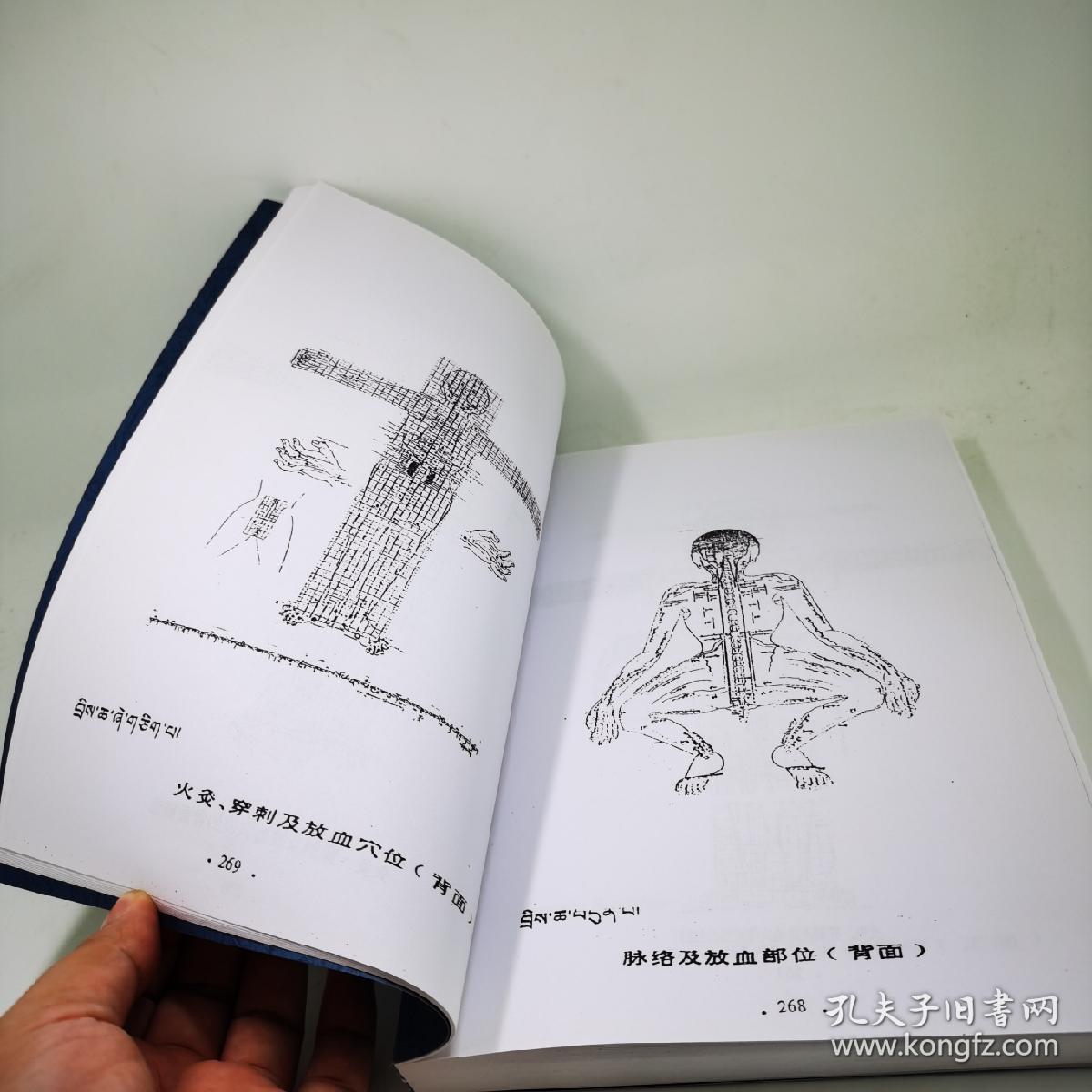 董氏针灸放血疗法繁体字版