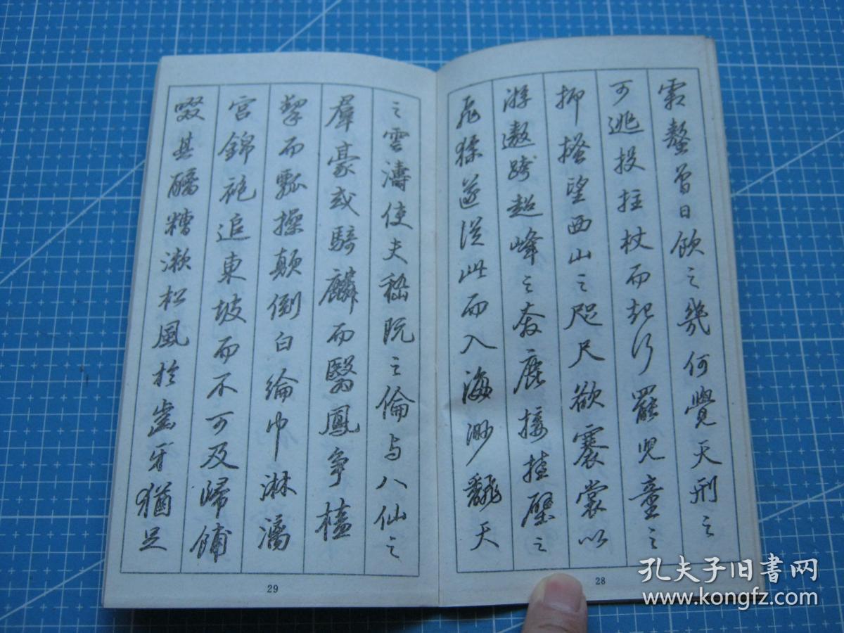 钢笔临写苏东坡行书字帖