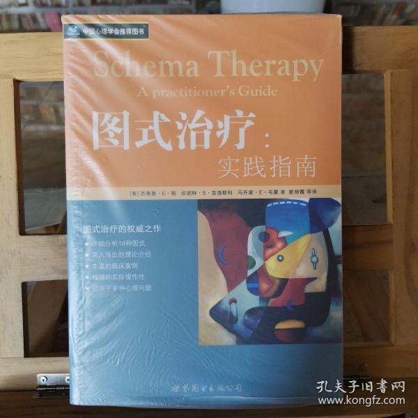 [图式治疗:实践指南 图书价格_书籍图片_网购评论_孔夫子旧书网
