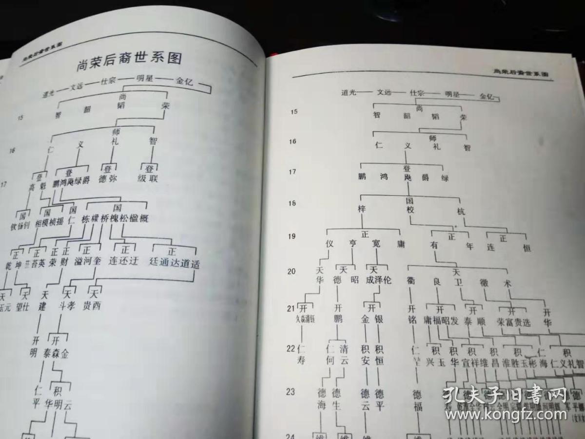 周氏族谱(汝南氏--道光支族)