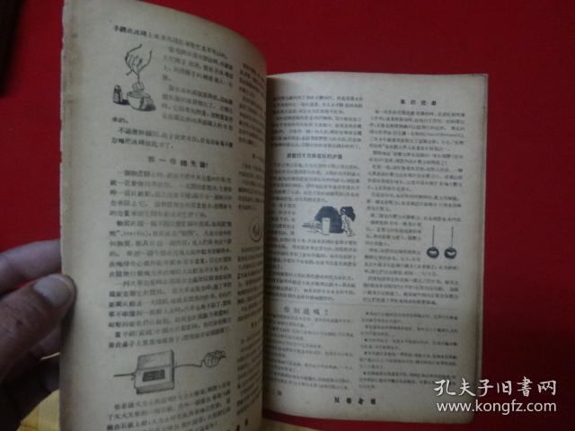 2588c83e161dafea_b.jpg