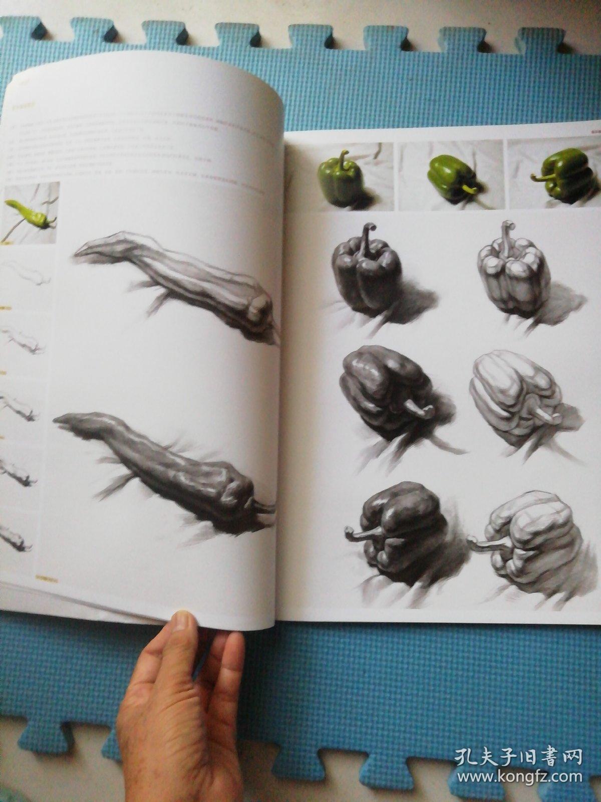 陈平素描静物(大本 8开)