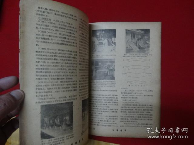 2588c85226d0d259_b.jpg