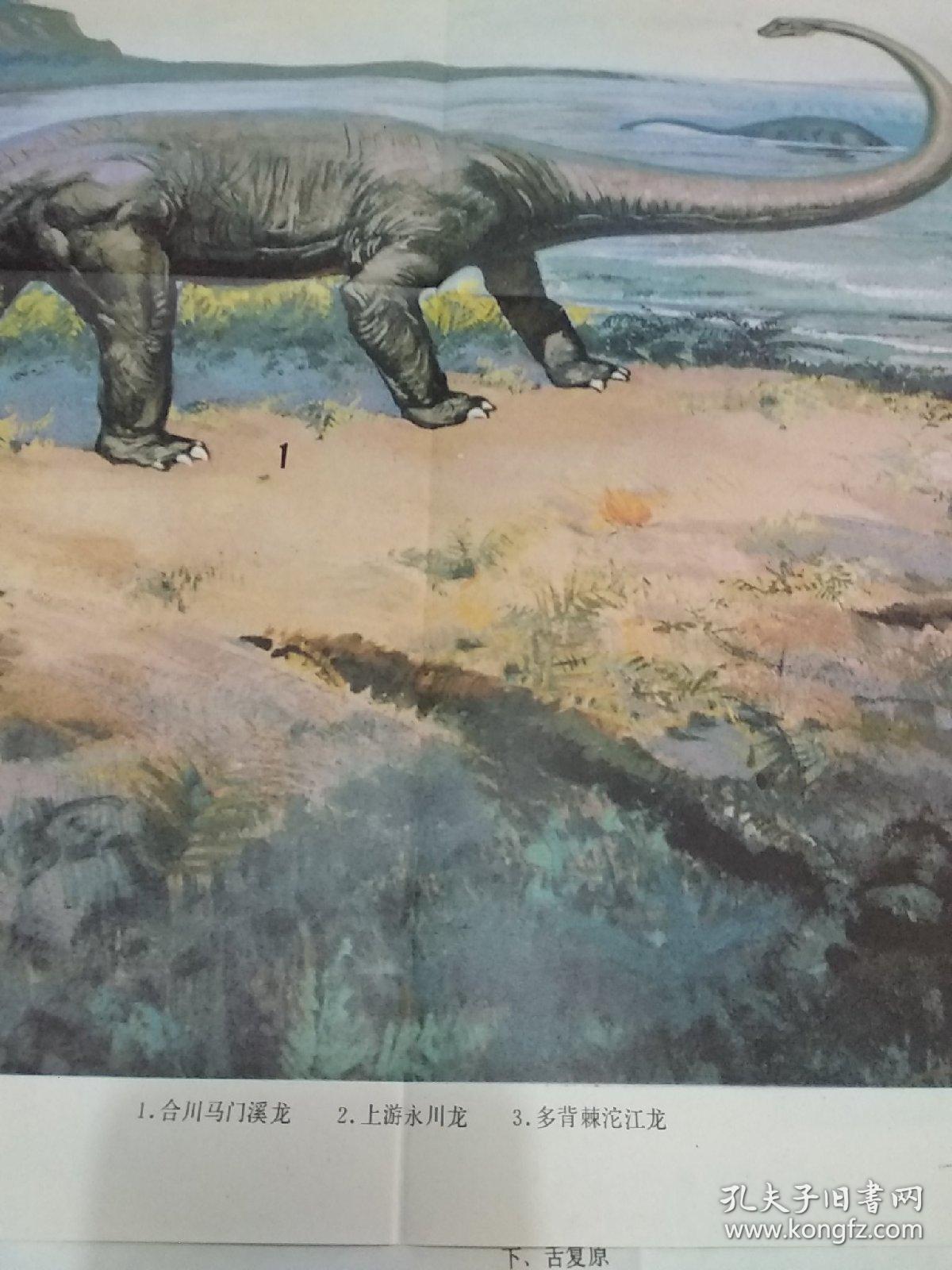 老画家蒋建国绘的初中生物教学挂图:中生代侏罗纪四川盆地的恐龙(此为
