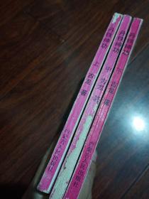 丹铁神功 上中下