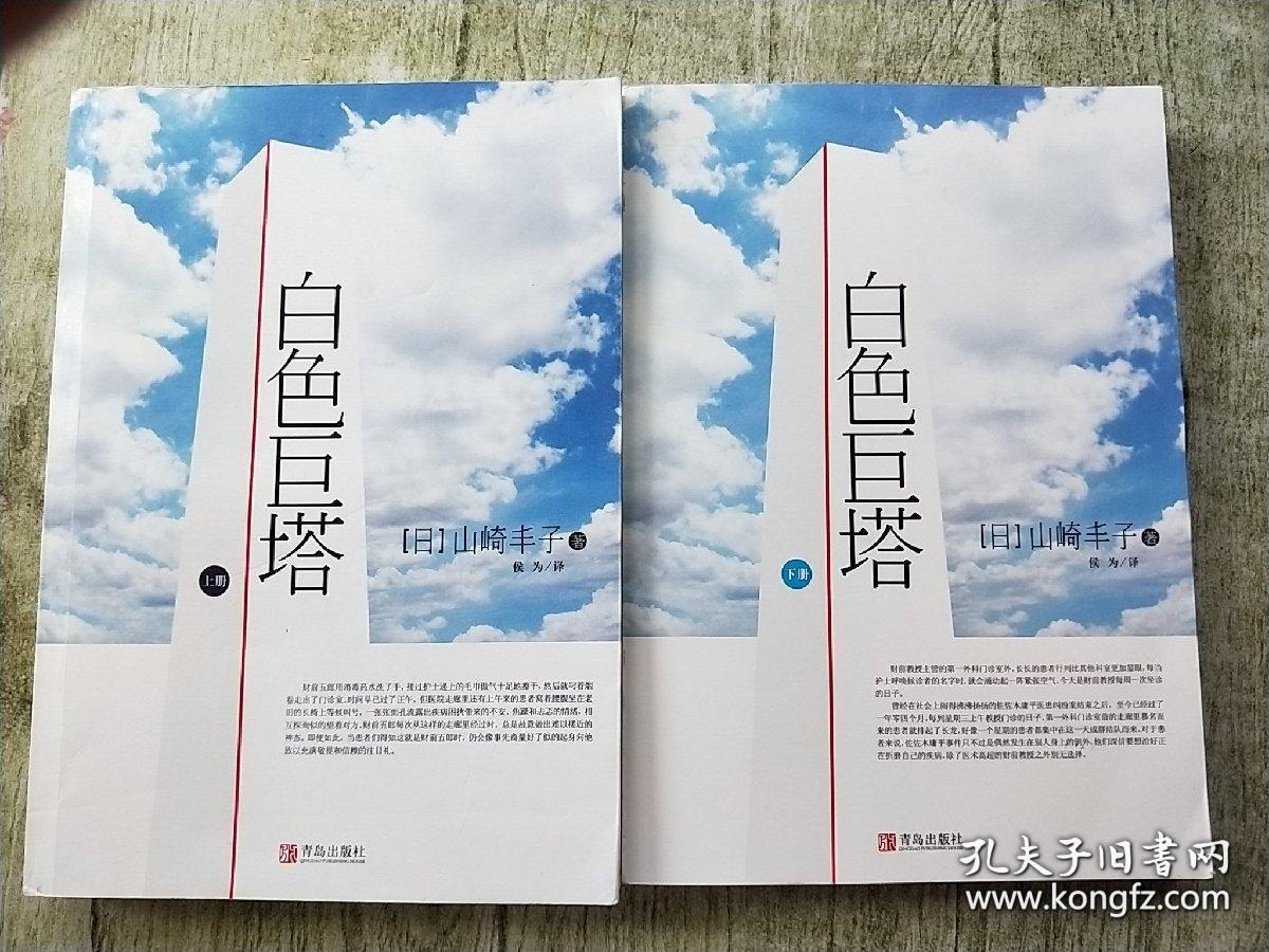 白色巨塔 上下