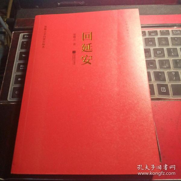 红色经典丛书:回延安