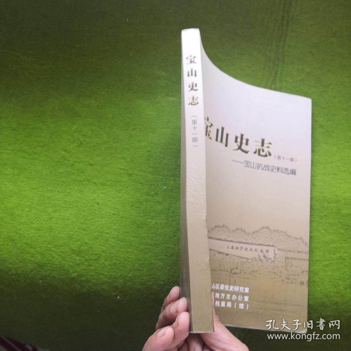 宝山史志(第十一期)
