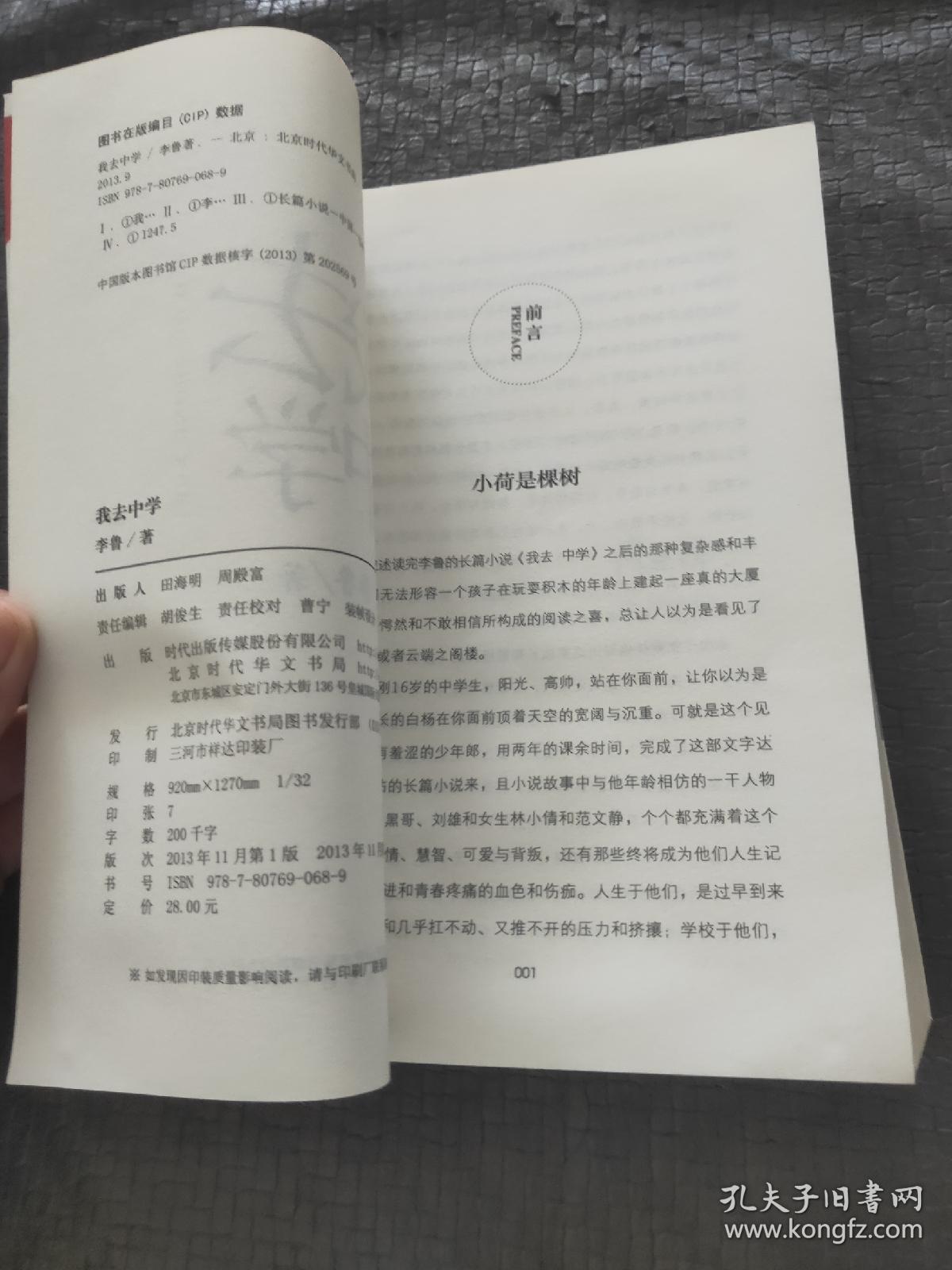 我去中学(少年励志版·《麦田里的守望者》)