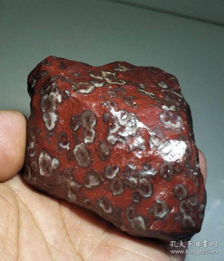 陨石原石极品龙纹红伊丁陨石原石玉化极好的梅花红伊丁陨石形状好看