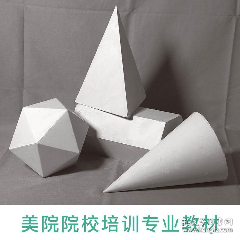 正版全新照片书石膏几何体静物素描书画素描专用专业摄影对画照片图书