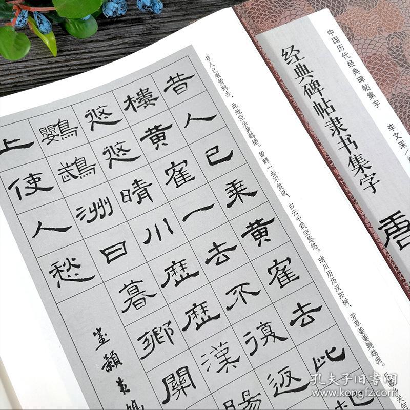 收录古代经典隶书碑帖集字古诗词毛笔书法作品集临摹教程 汉隶书字帖