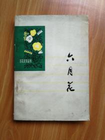 六月花