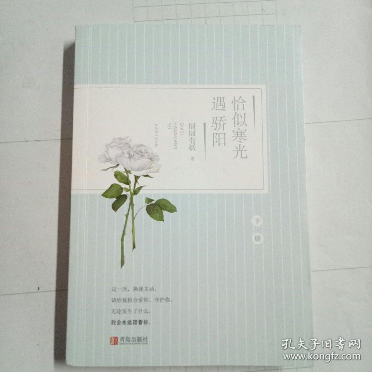 恰似寒光遇骄阳(下册)