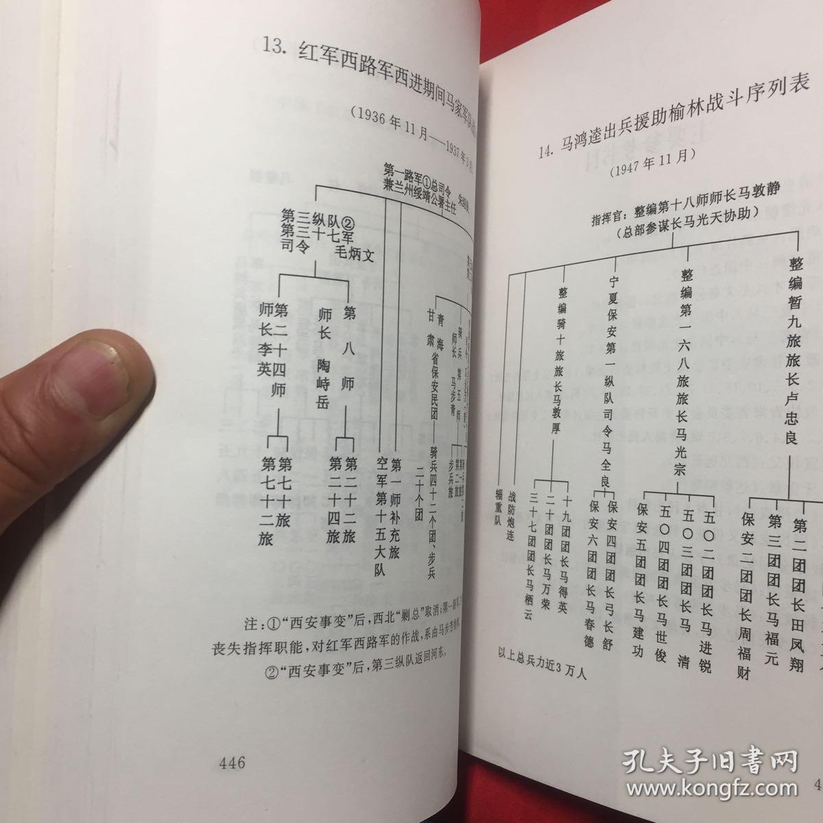 西北马家军阀史