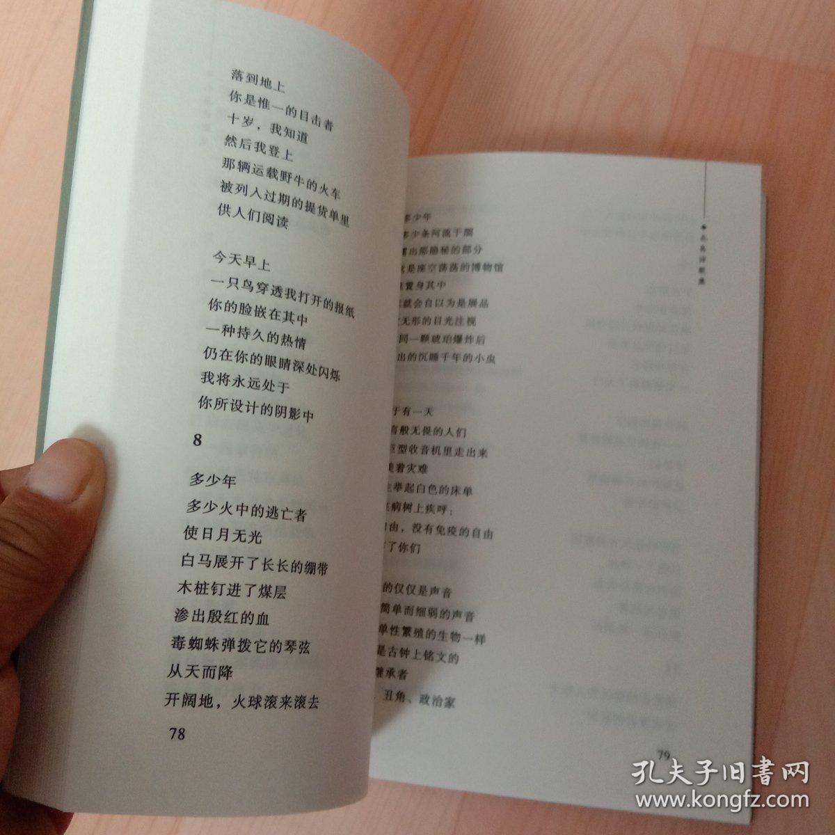 北岛诗歌集