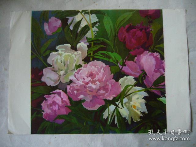 水粉画芍药花印刷品8开大小