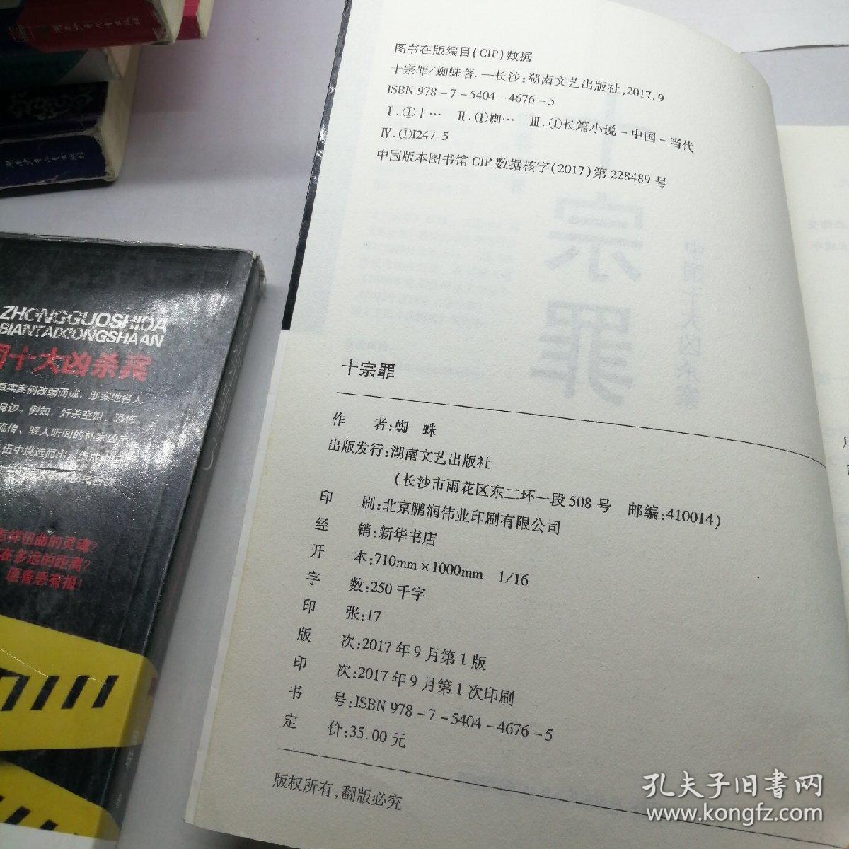十宗罪——中国十大凶杀案