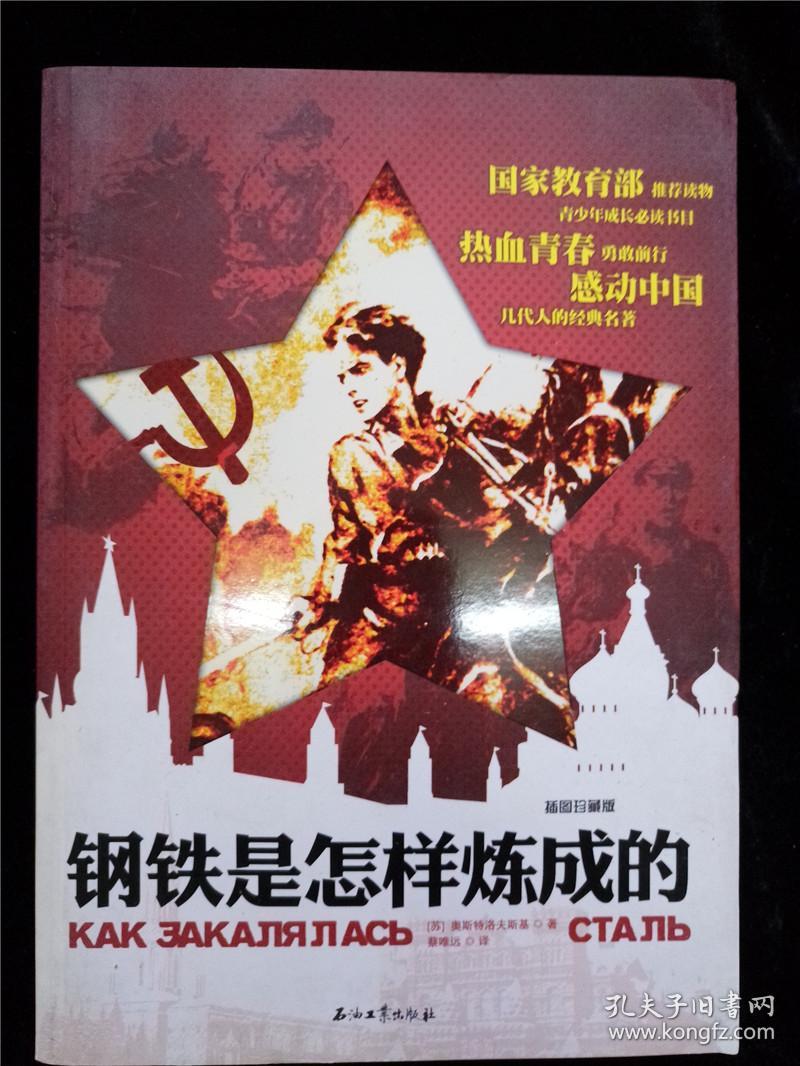 钢铁是怎样炼成的(插图珍藏版)