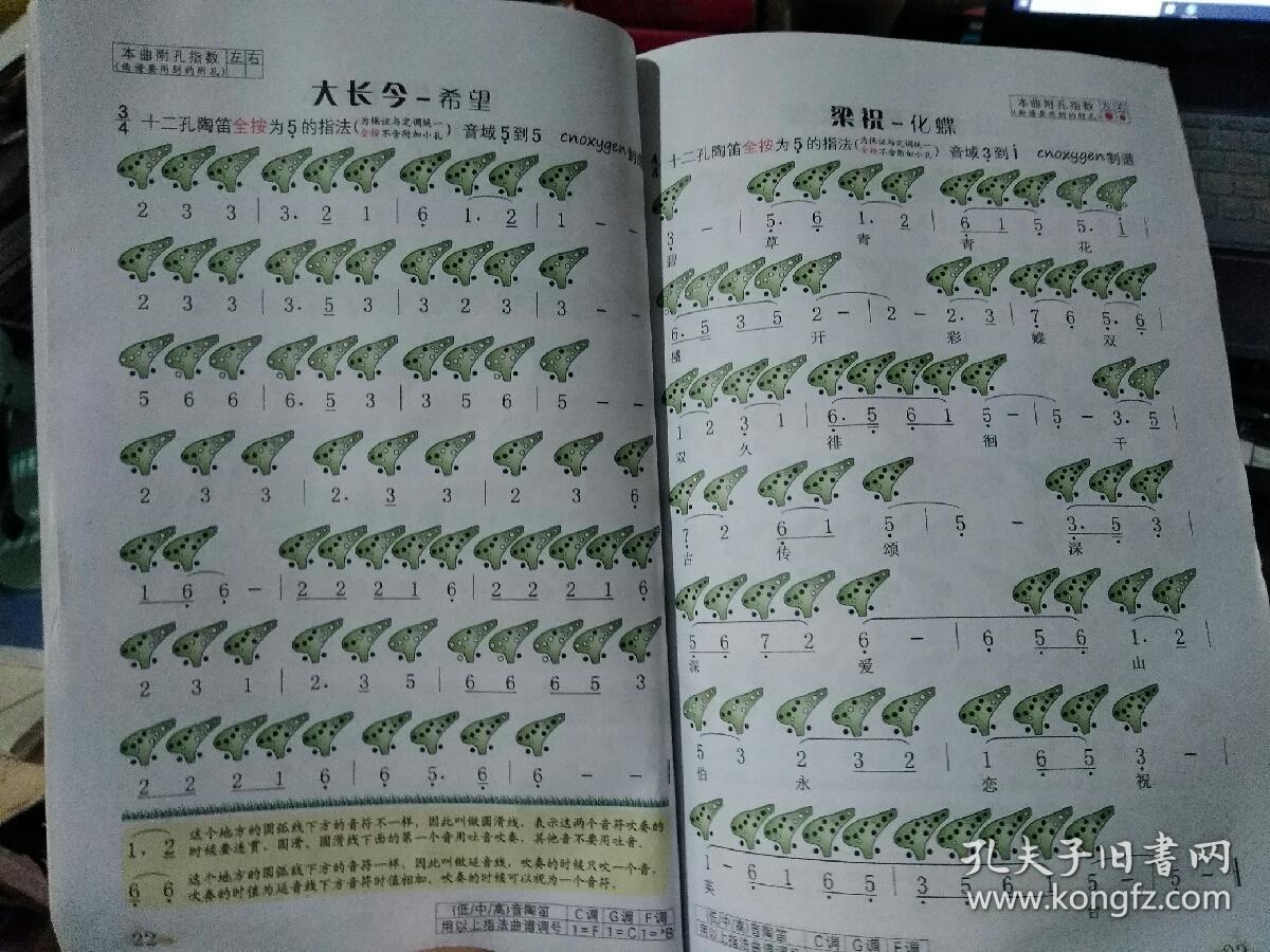 陶笛图形曲谱_陶笛你莫走图形曲谱(2)