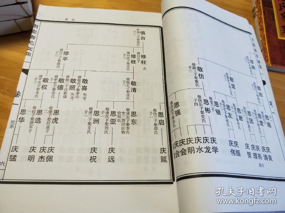 《兰陵褚氏家乘》(十一卷,首一卷全)褚氏家谱族谱宗谱始祖褚五公,宋朝
