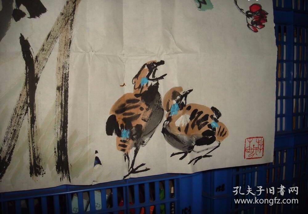 杨泽琦