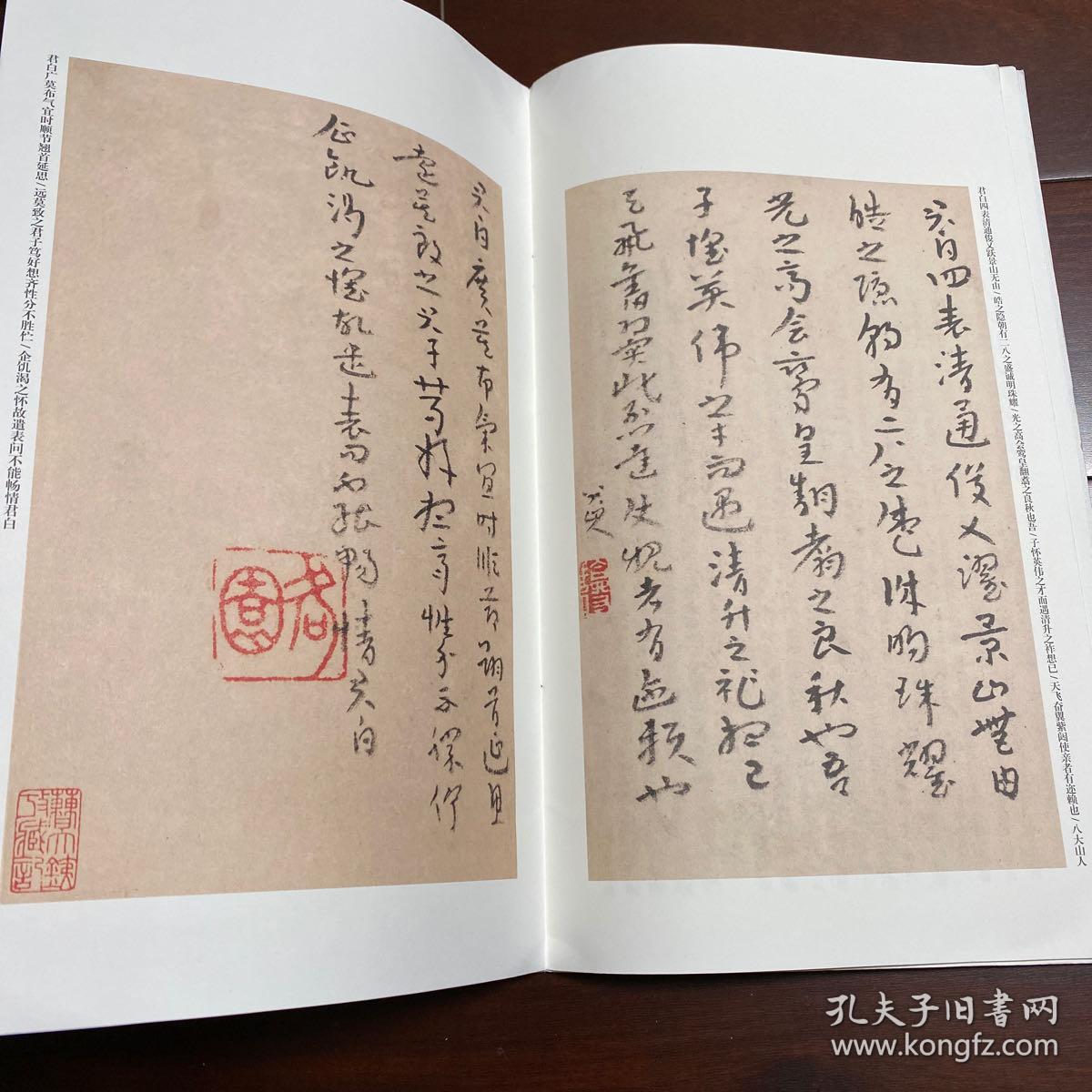 历代章草精选系列:清八大山人 临索靖章草月仪帖 个山