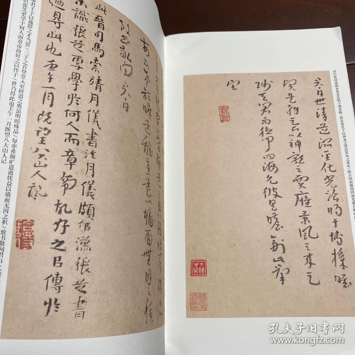 历代章草精选系列:清八大山人 临索靖章草月仪帖 个山
