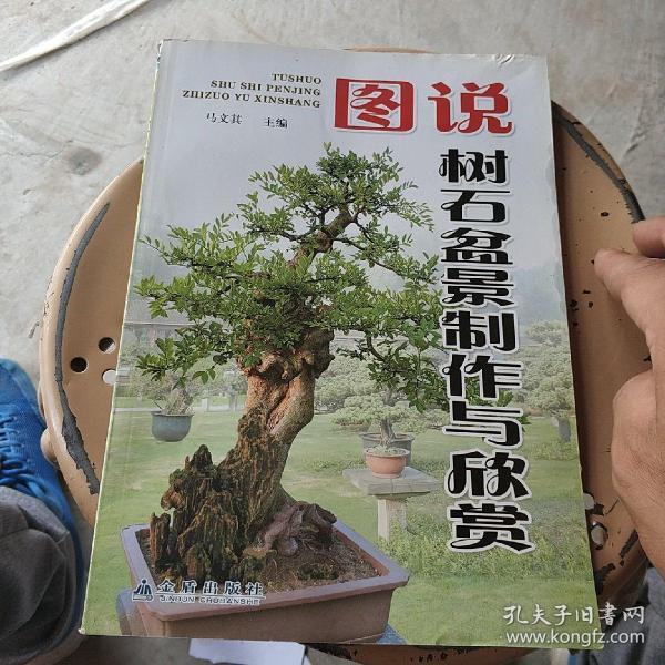 图说树石盆景制作与欣赏(马文其 编)_简介_价格_生活