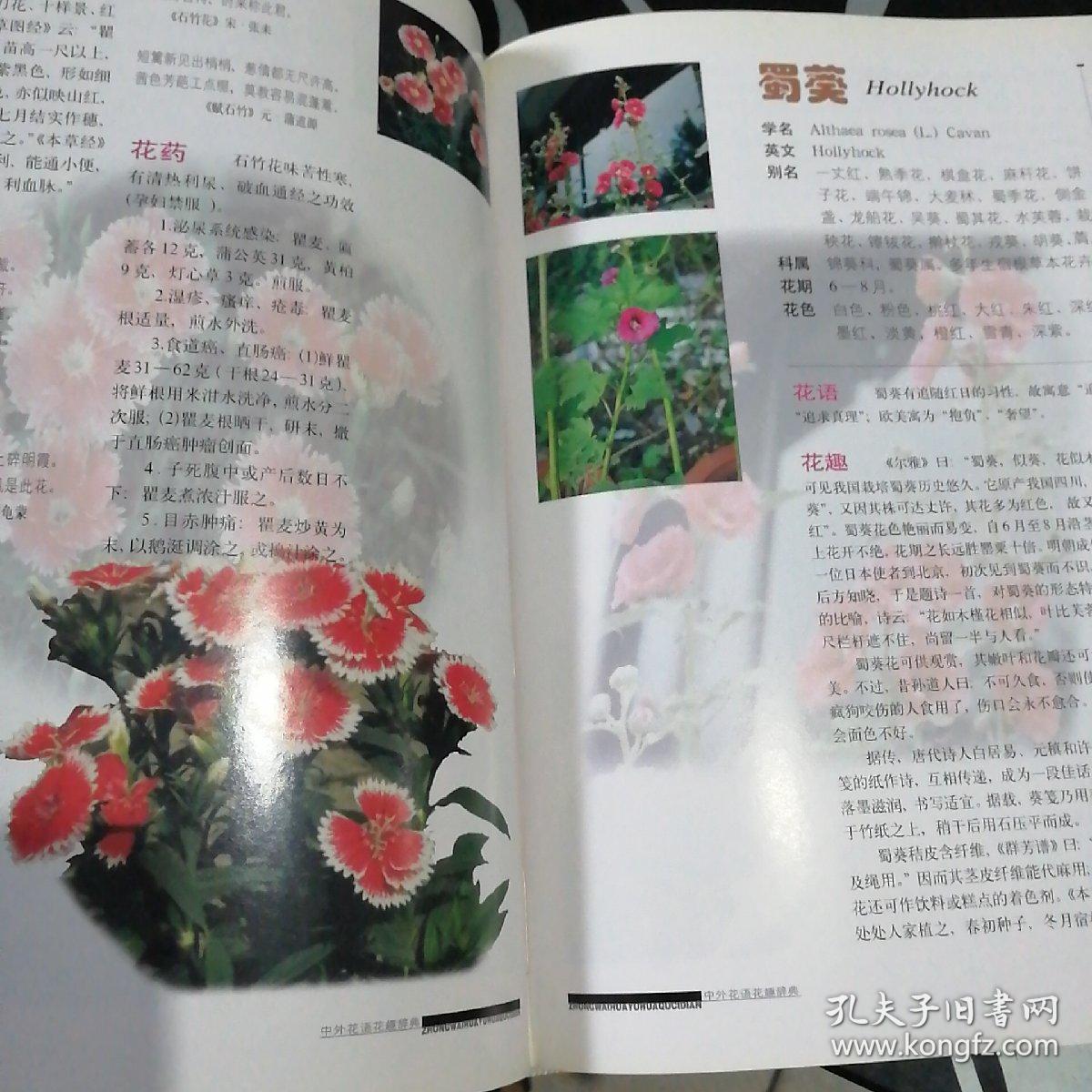 中外花语花趣辞典(柜1)