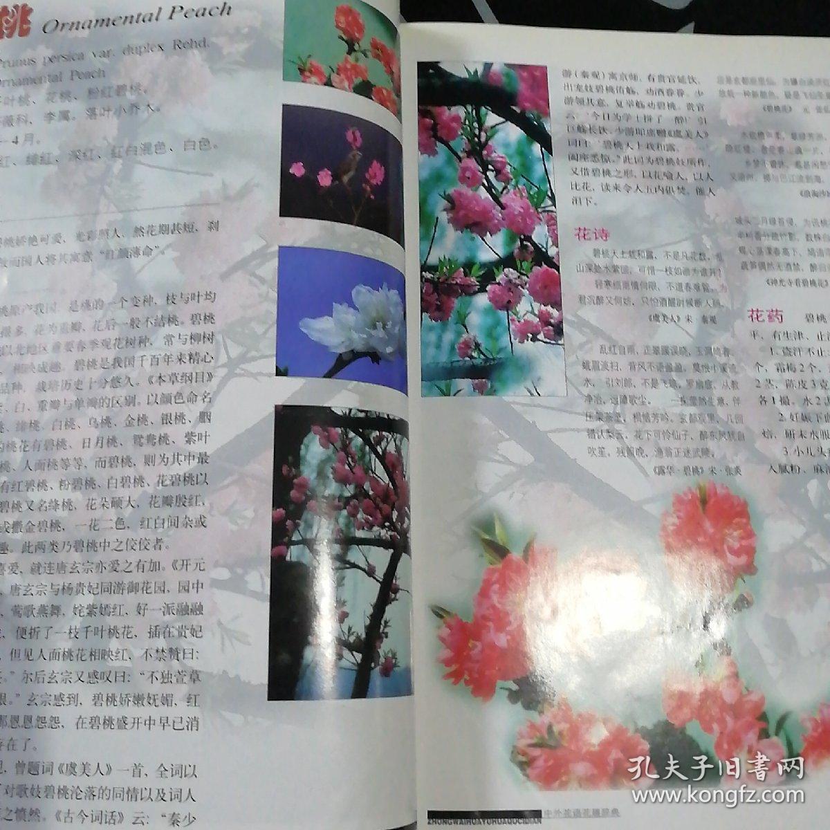 中外花语花趣辞典(柜1)