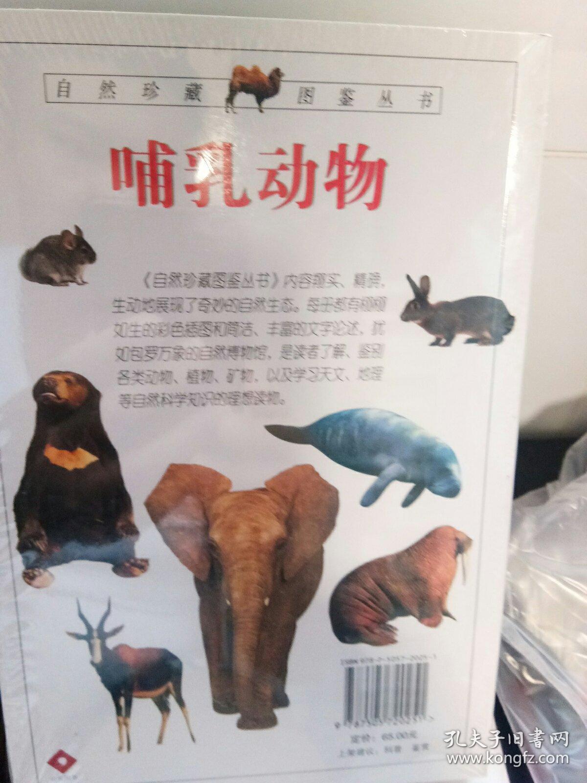 哺乳动物自然珍藏图鉴丛书克鲁顿布罗克编世界哺乳动物指南手册书中共
