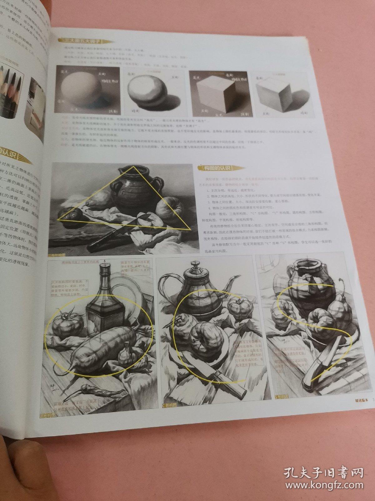 陈平素描静物精选临本
