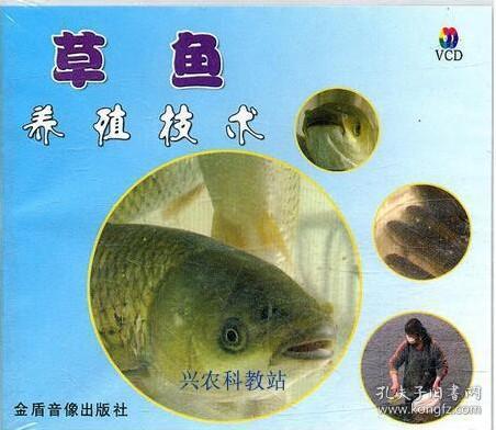 [草鱼养殖技术视频