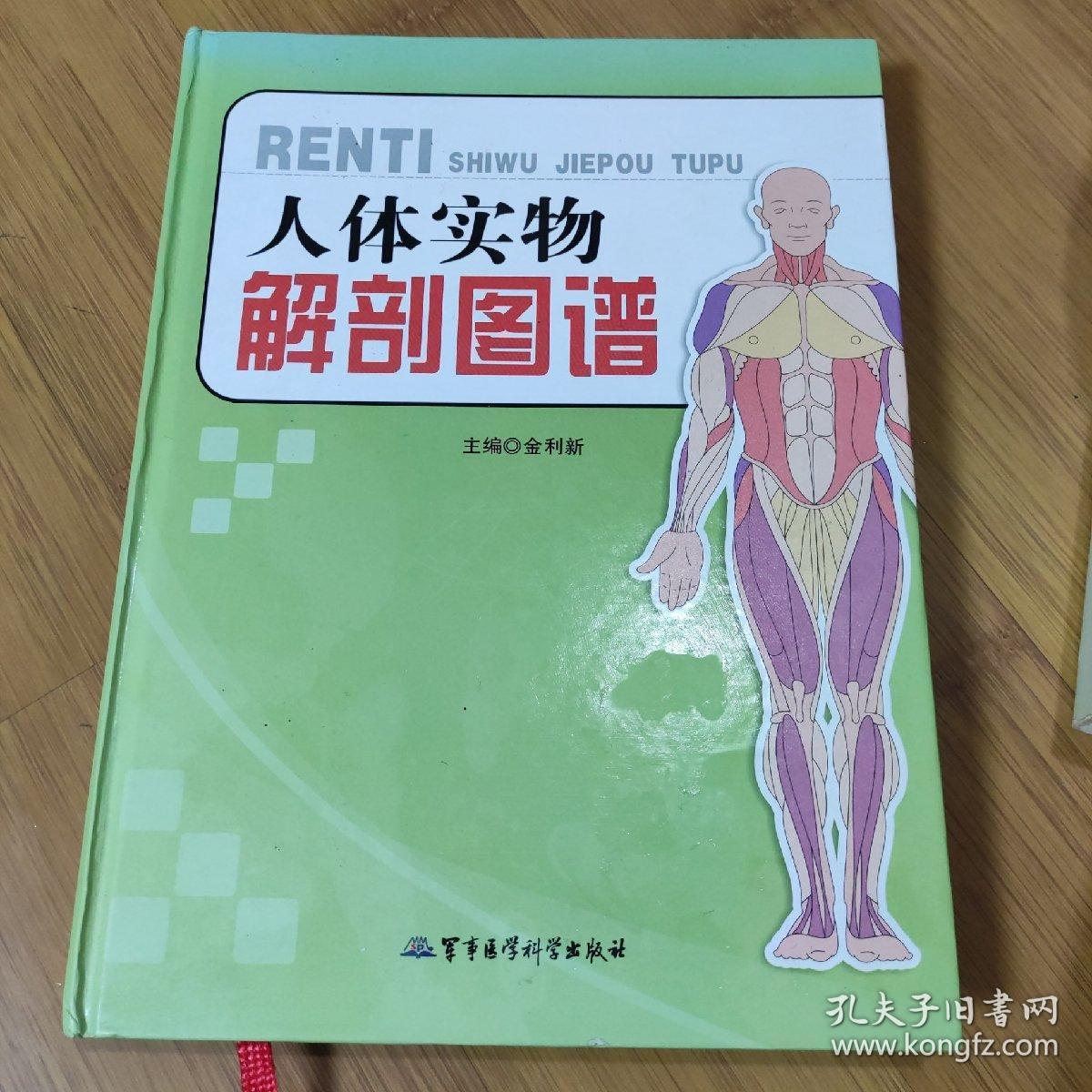 人体实物解剖图谱