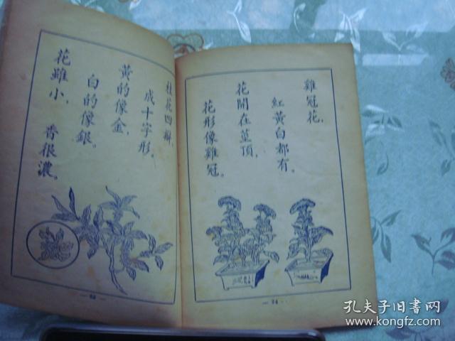 四季常什么成语_成语故事简笔画(2)