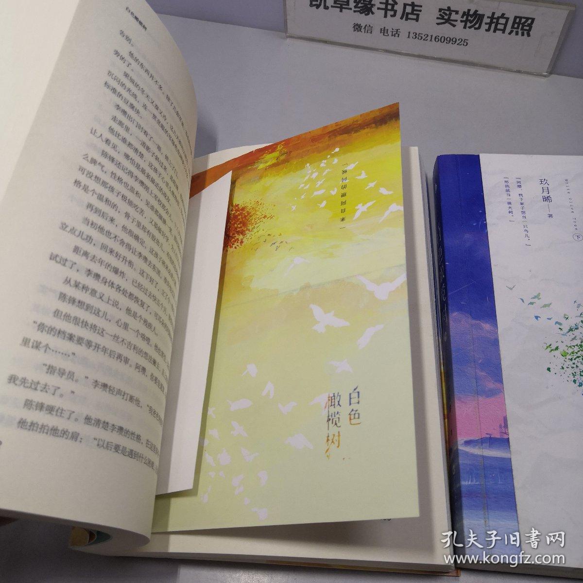 白色橄榄树 上下(2册)